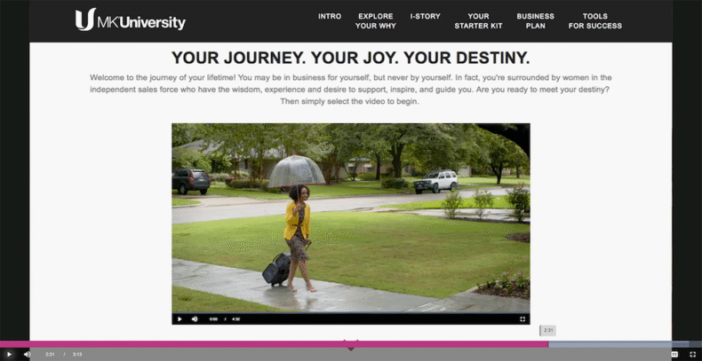 Engagement Motivation Example - Allen Interactions